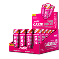 CARNISHOT 3000 20*60 ML Mango