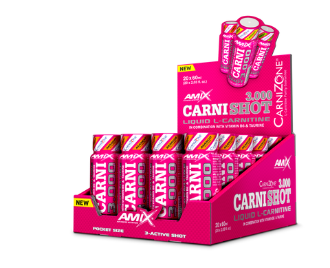 CARNISHOT 3000 20*60 ML Mango