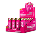 CARNISHOT 3000 20*60 ML Mojito
