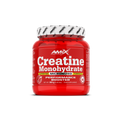 Creatina Monohidrato 300 g – Amix™