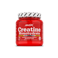 Creatina Monohidrato 300 g – Amix™