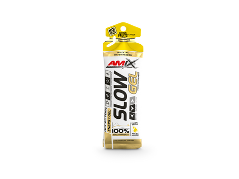 Gel Énergétique Slow Gel - Amix Performance